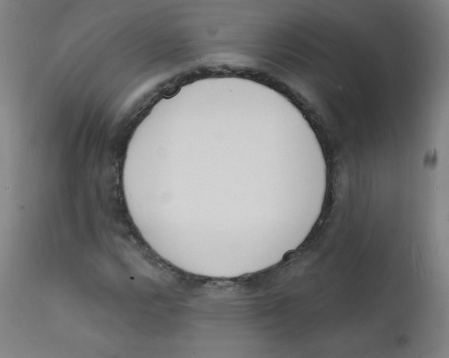 X0000112141112200909041033