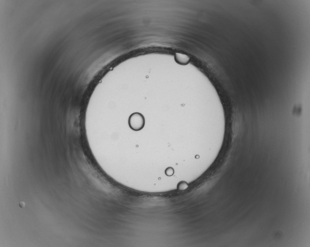 X0000112141113200909041033