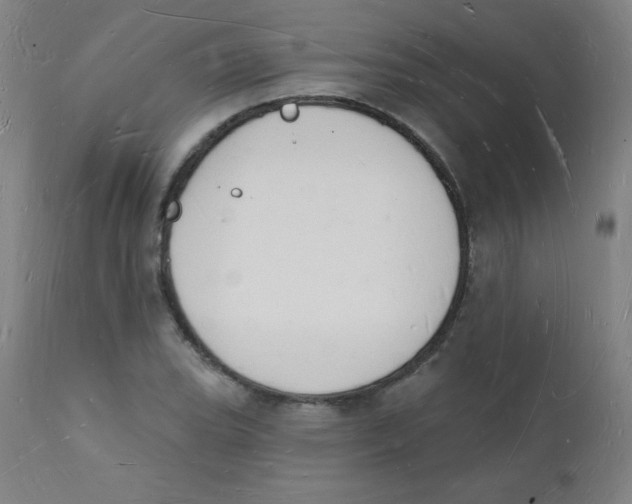 X0000112141119200909041033