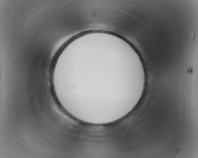 X0000112141120200909041033