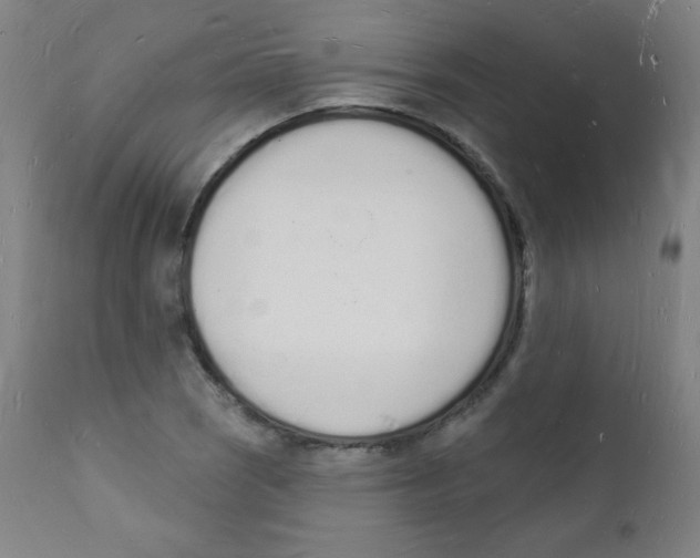 X0000112141121200909041033