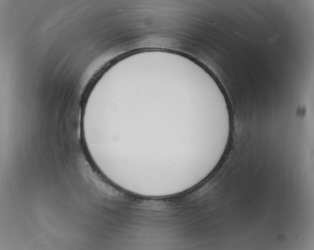 X0000112141123200909041033