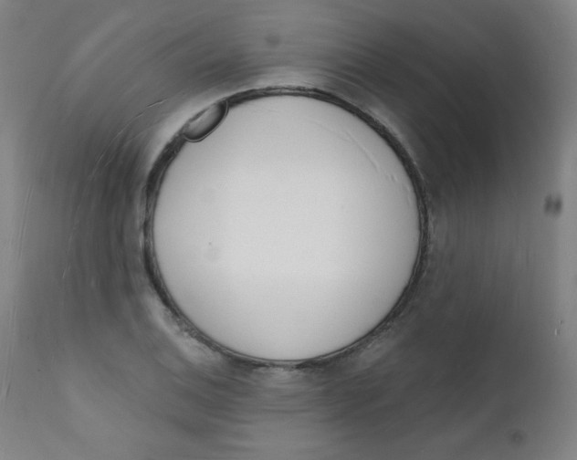 X0000112141124200909041033