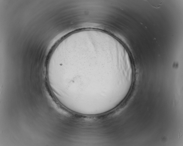 X0000112141125200909041033