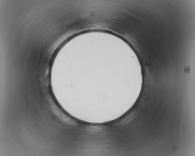 X0000112141126200909041033