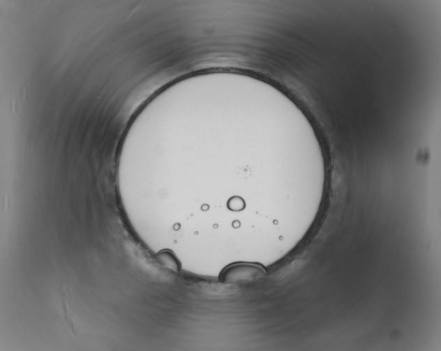 X0000112141129200909041033