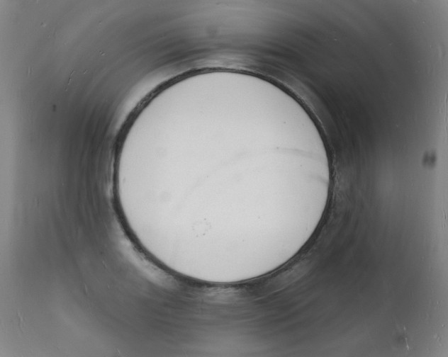 X0000112141131200909041033