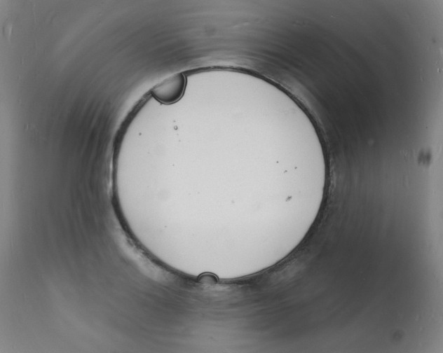 X0000112141132200909041033