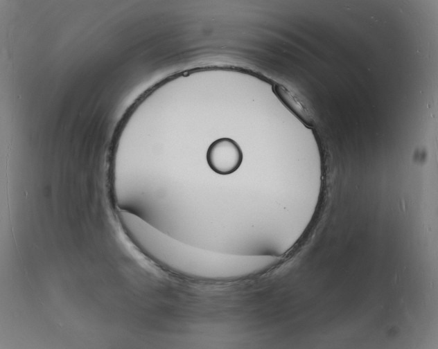 X0000112141134200909041033