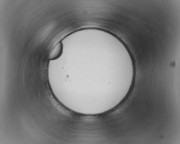 X0000112141137200909041033