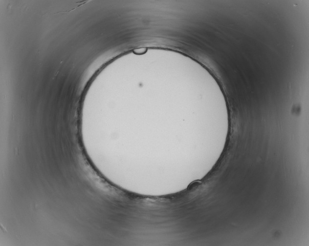 X0000112141138200909041033