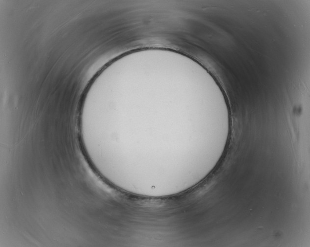 X0000112141141200909041033