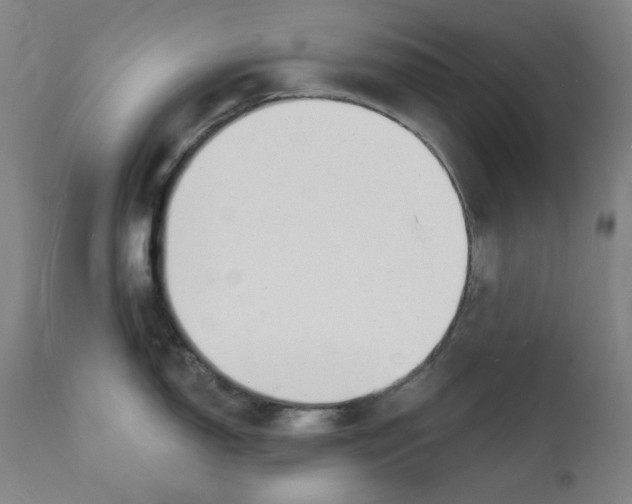 X0000112141150200909041033