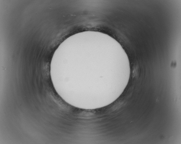 X0000112141156200909041033