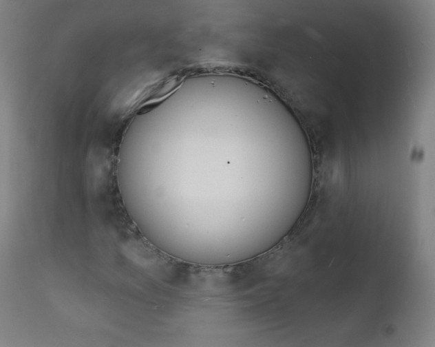 X0000112141157200909041033