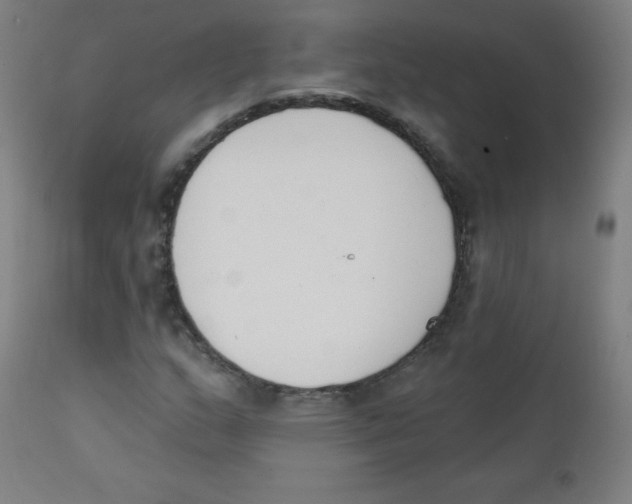 X0000112141159200909041032