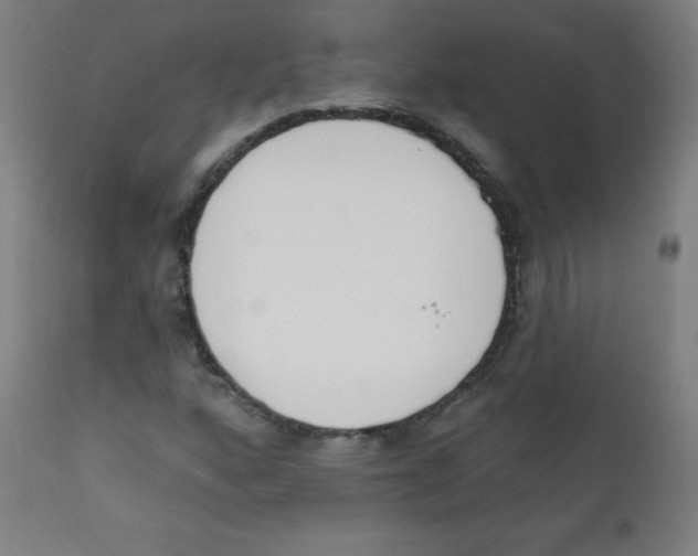 X0000112141160200909041032