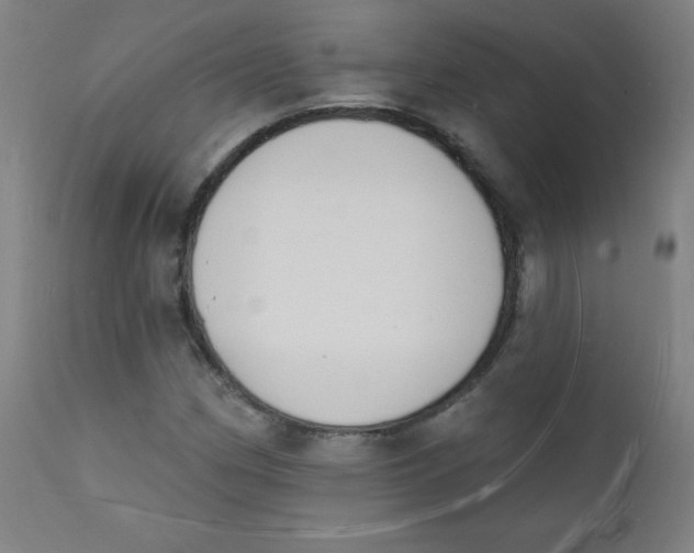 X0000112141162200909041032