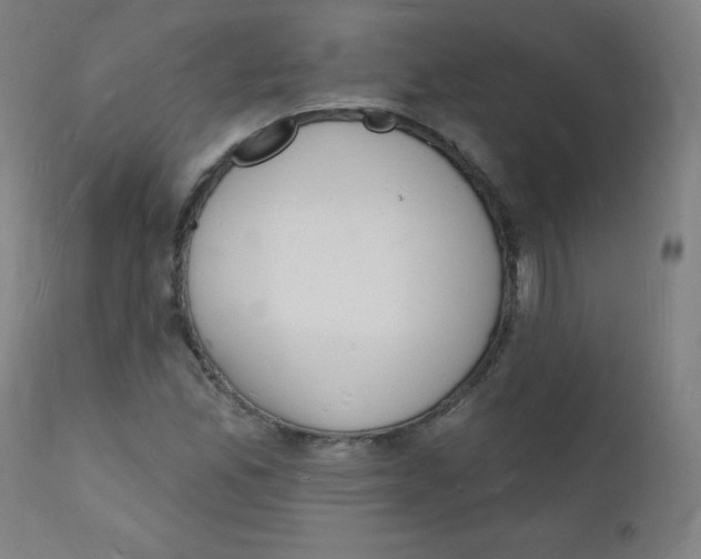 X0000112141165200909041032