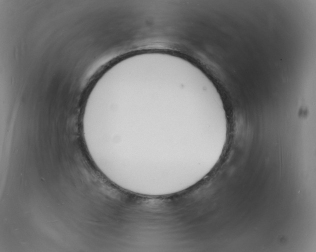 X0000112141166200909041032