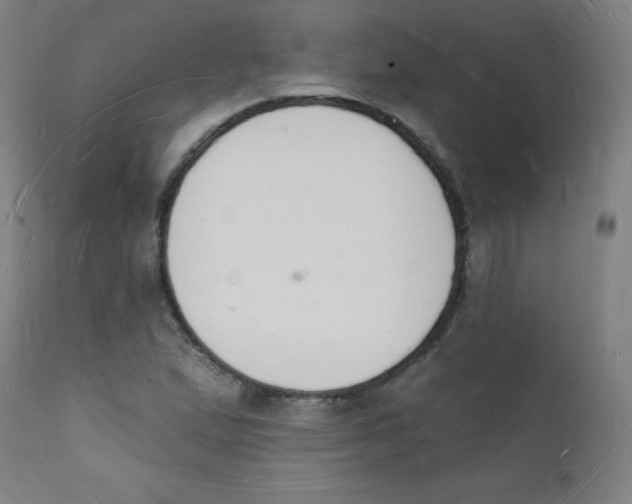 X0000112141167200909041032