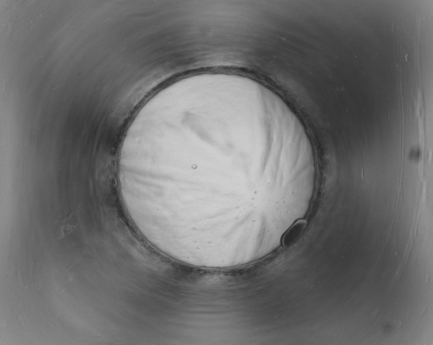 X0000112141169200909041032