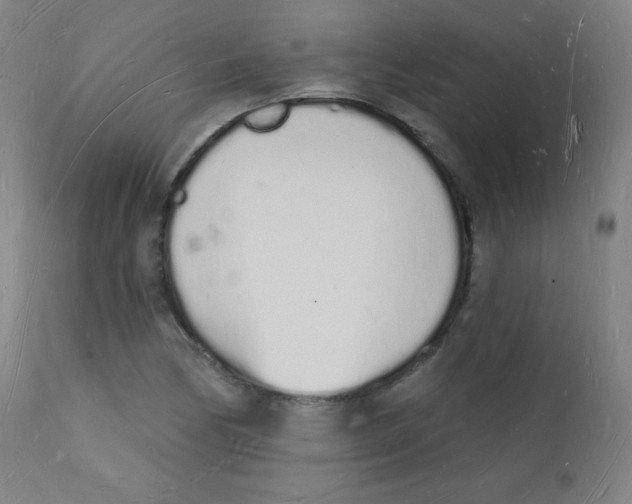 X0000112141170200909041032