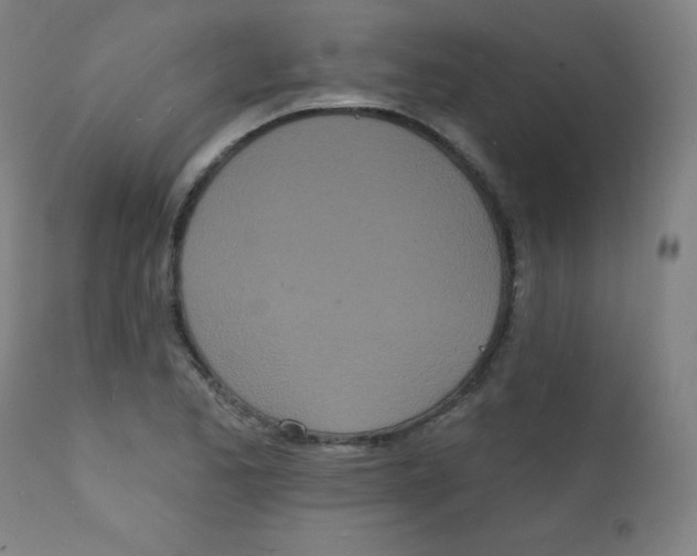 X0000112141173200909041032