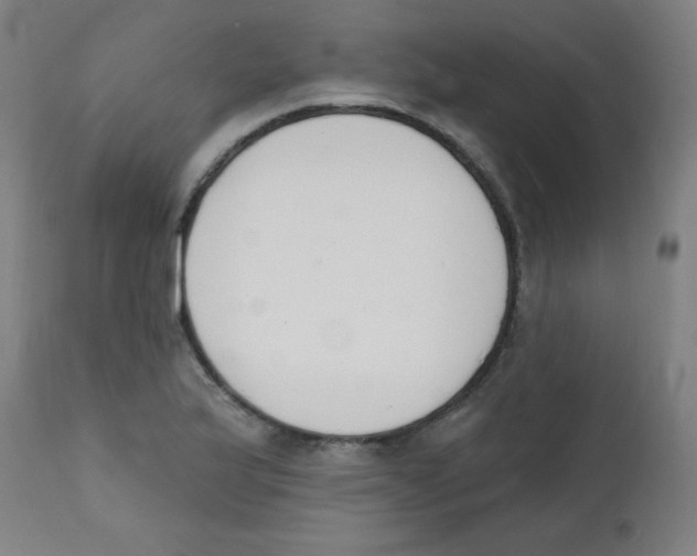 X0000112141175200909041032