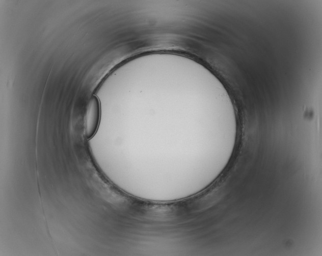 X0000112141177200909041032