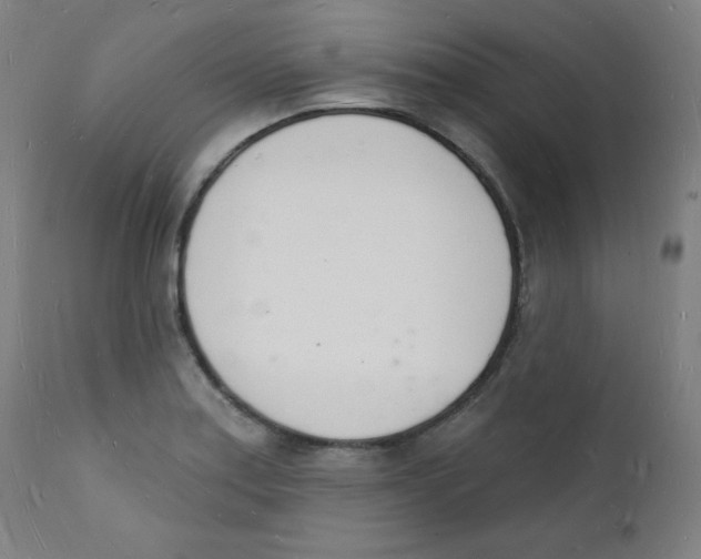 X0000112141179200909041032