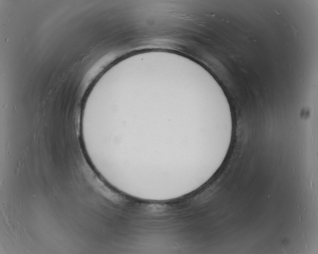 X0000112141180200909041032