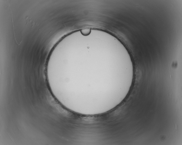 X0000112141182200909041032