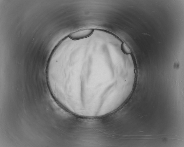 X0000112141189200909041032