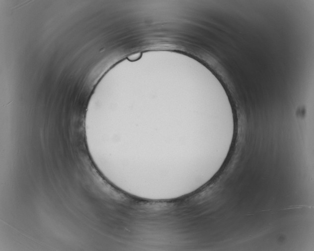 X0000112141193200909041032