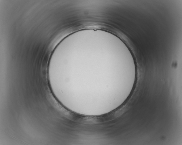 X0000112141194200909041032