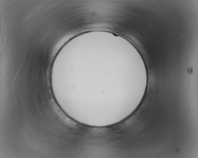 X0000112141196200909041032