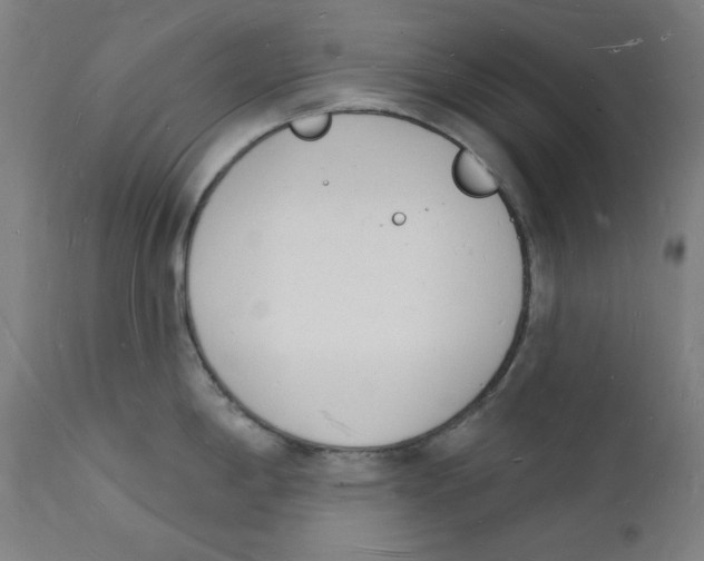 X0000112141198200909041032