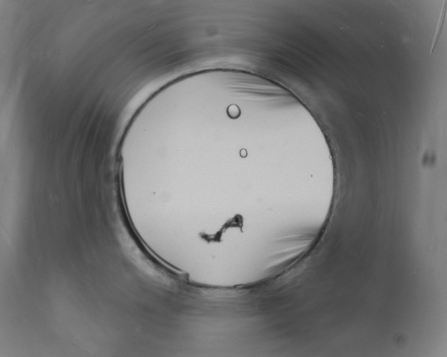 X0000112141200200909041032