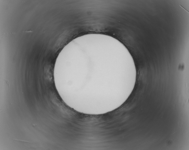 X0000112141202200909041031