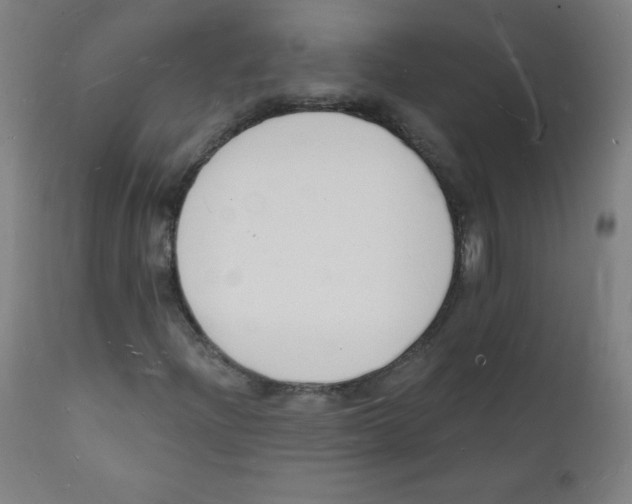 X0000112141204200909041031