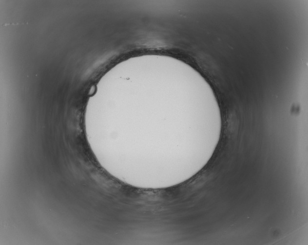 X0000112141205200909041031