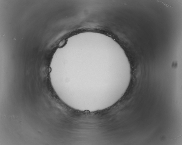 X0000112141206200909041031