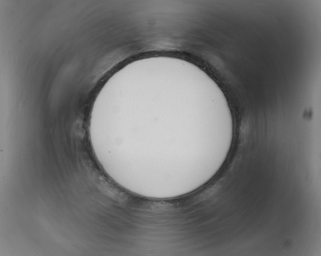 X0000112141209200909041031