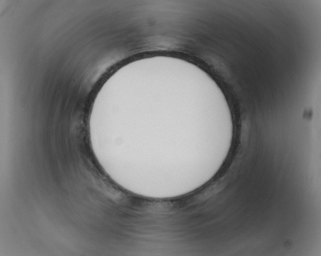 X0000112141210200909041031