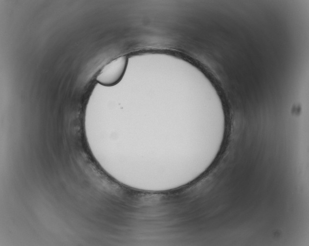 X0000112141211200909041031