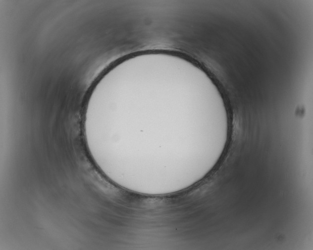 X0000112141212200909041031