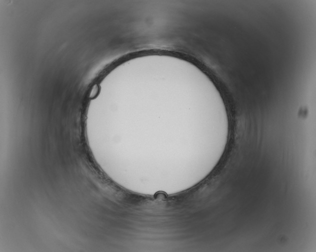 X0000112141214200909041031