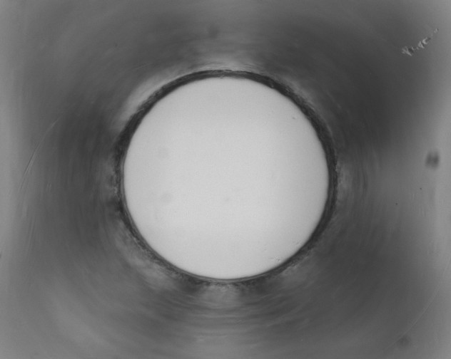 X0000112141215200909041031