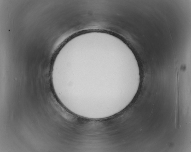 X0000112141216200909041031